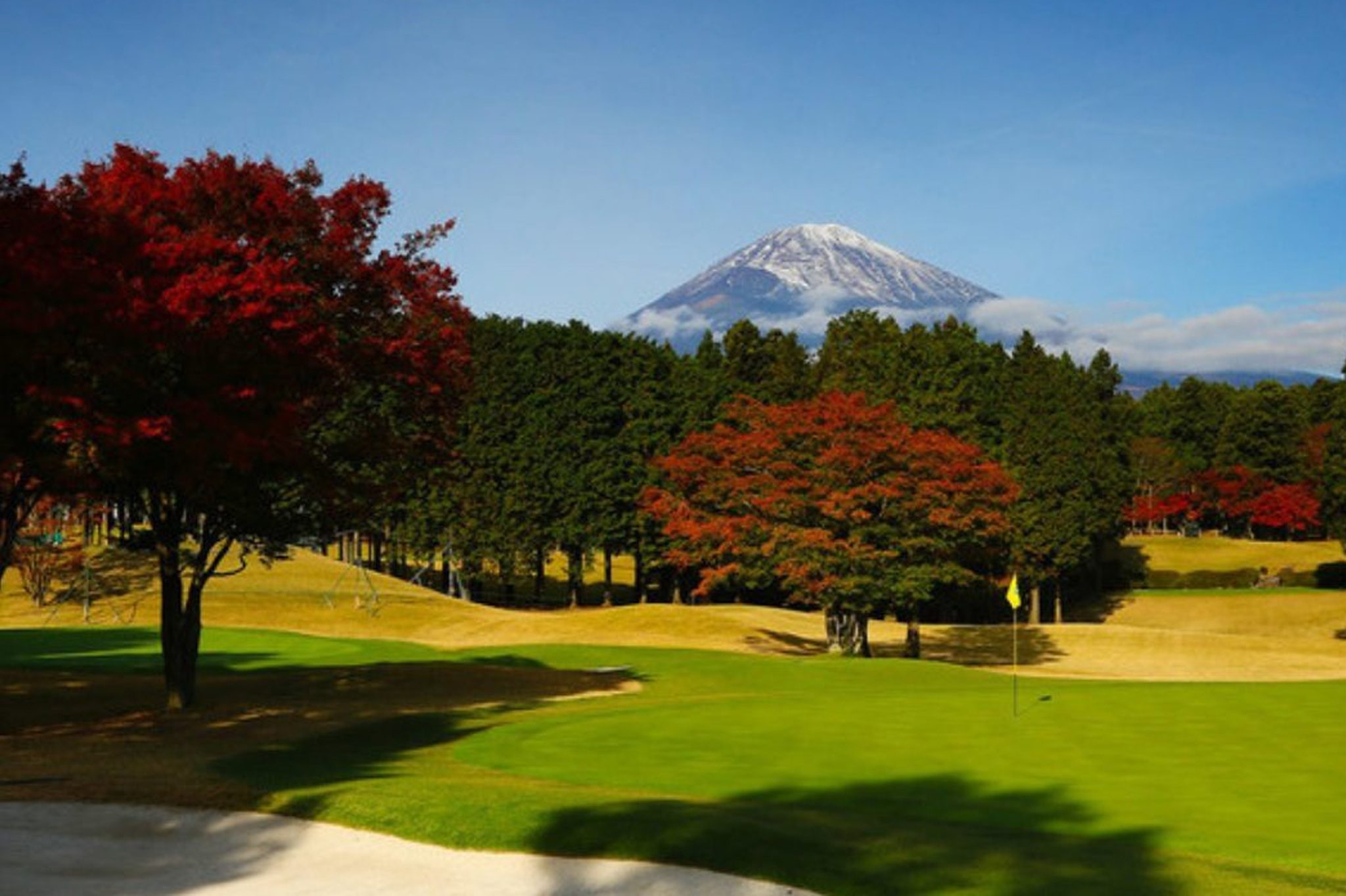 golf tour nz