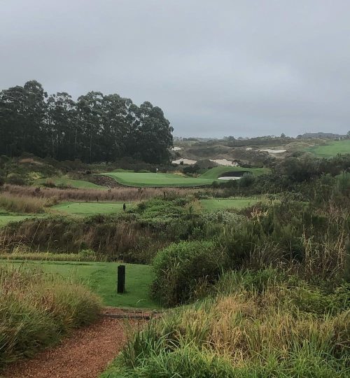 The Links - Fancourt(2)